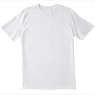 Blank T-Shirt (Adult)