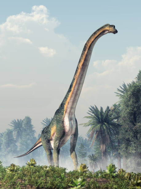 brachiosaurus