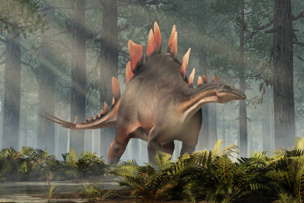 stegosaurus